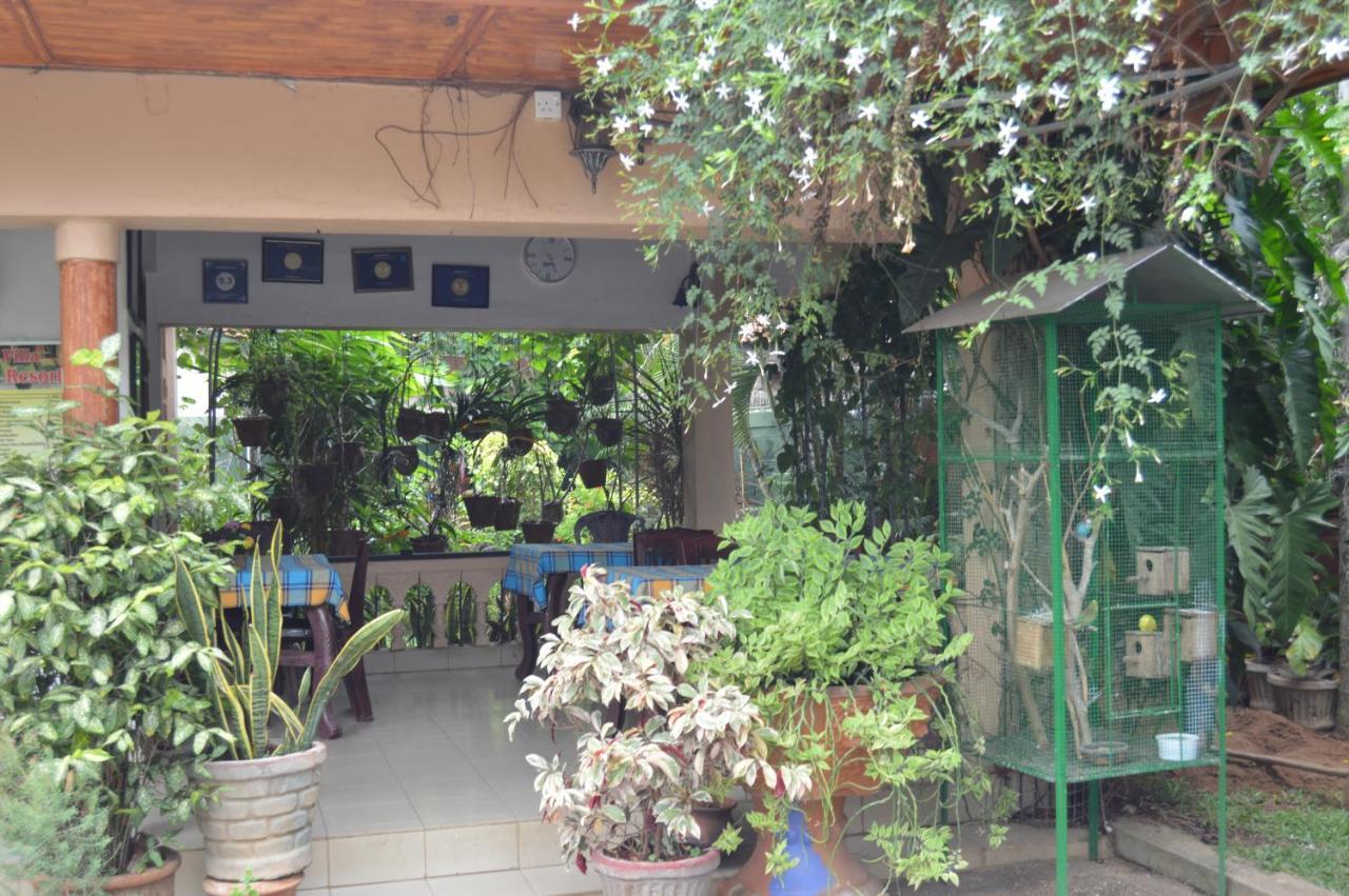 דירות נגומבו Familyhouse מראה חיצוני תמונה